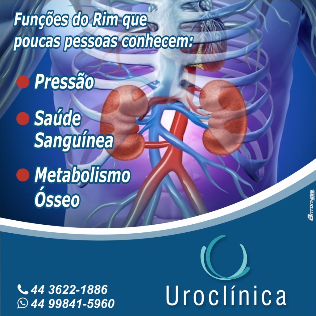 Funções do Rim que poucas pessoas conhecem. Uroclinica Umuarama